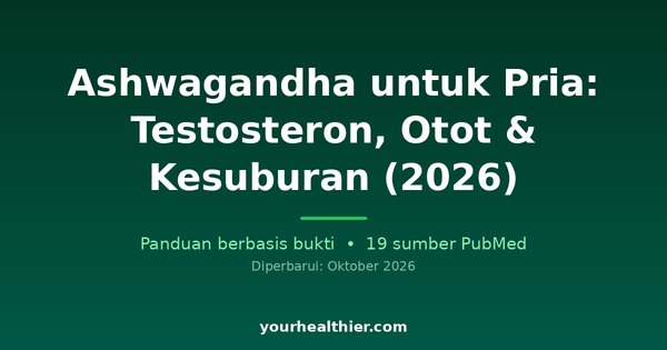 Ashwagandha untuk Pria: Testosteron, Otot & Kesuburan (2026)