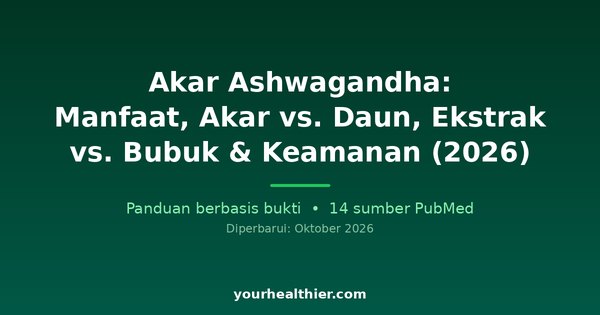 Akar Ashwagandha: Manfaat, Akar vs. Daun, Ekstrak vs. Bubuk & Keamanan (2026)
