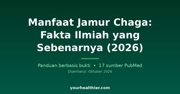 Manfaat Jamur Chaga: Fakta Ilmiah yang Sebenarnya (2026)