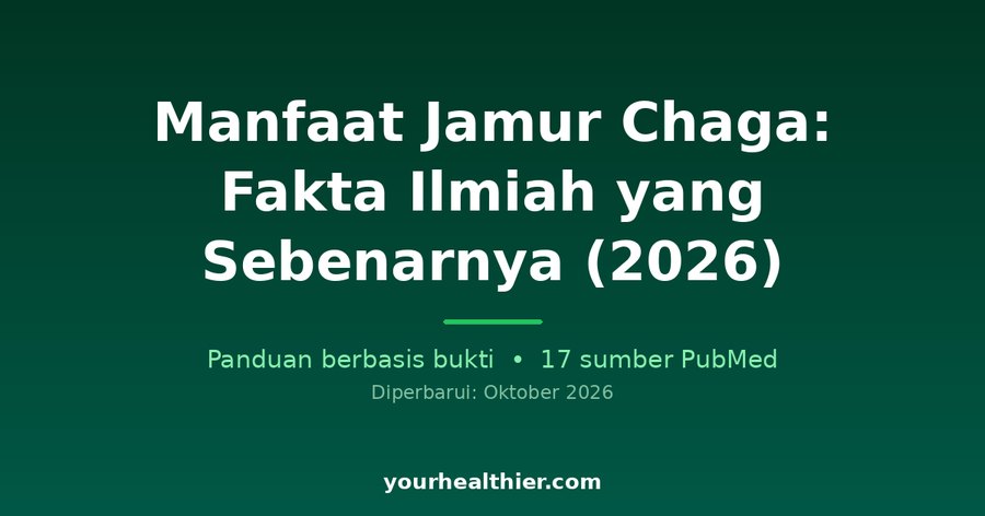 Manfaat Jamur Chaga: Fakta Ilmiah yang Sebenarnya (2026)