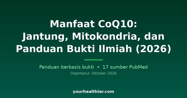 Manfaat CoQ10: Jantung, Mitokondria, dan Panduan Bukti Ilmiah (2026)