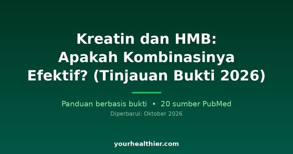 Kreatin dan HMB: Apakah Kombinasinya Efektif? (Tinjauan Bukti 2026)