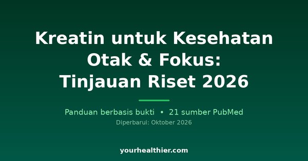 Kreatin untuk Kesehatan Otak & Fokus: Tinjauan Riset 2026