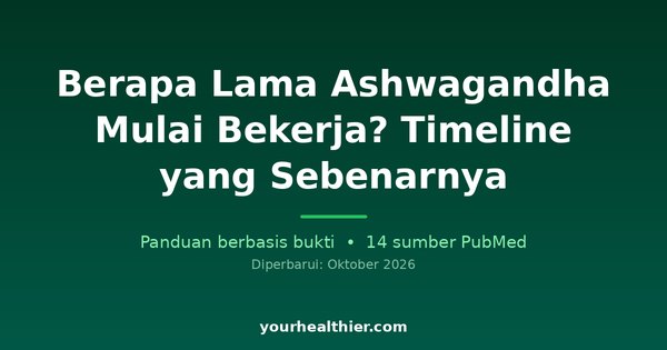 Berapa Lama Ashwagandha Mulai Bekerja? Timeline yang Sebenarnya