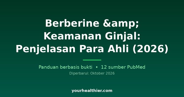 Berberine & Keamanan Ginjal: Penjelasan Para Ahli (2026)
