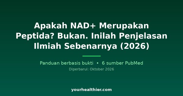 Apakah NAD+ Merupakan Peptida? Bukan. Inilah Penjelasan Ilmiah Sebenarnya (2026)