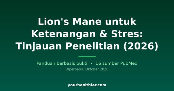 Lion’s Mane untuk Ketenangan & Stres: Tinjauan Penelitian (2026)