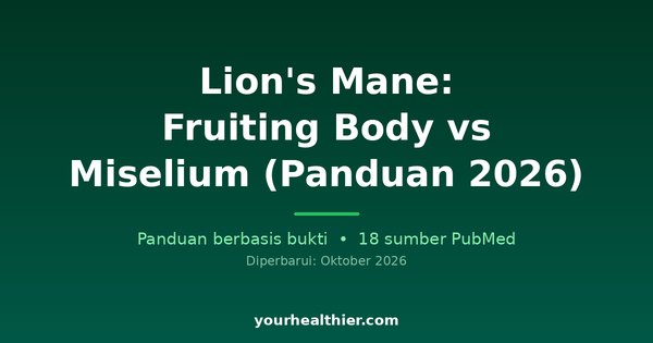 Lion’s Mane: Fruiting Body vs Miselium (Panduan 2026)
