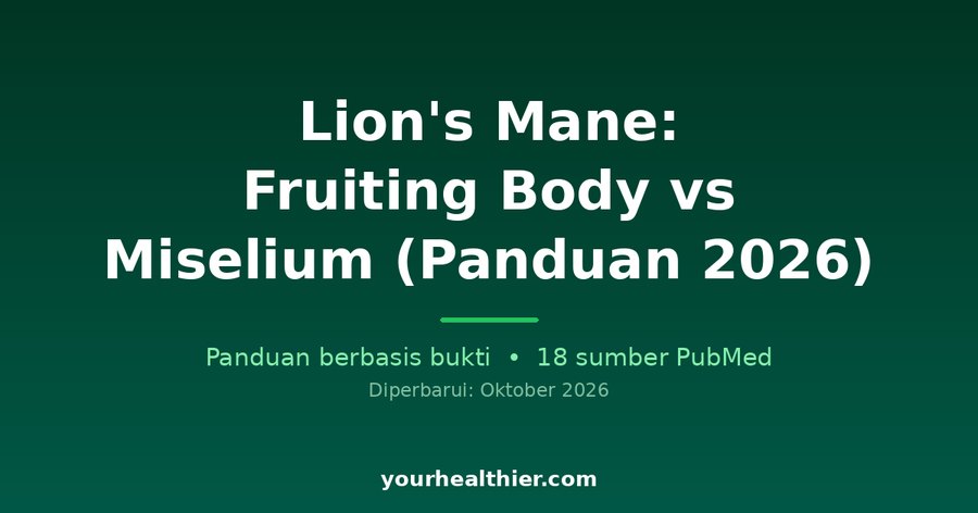 Lion’s Mane: Fruiting Body vs Miselium (Panduan 2026)