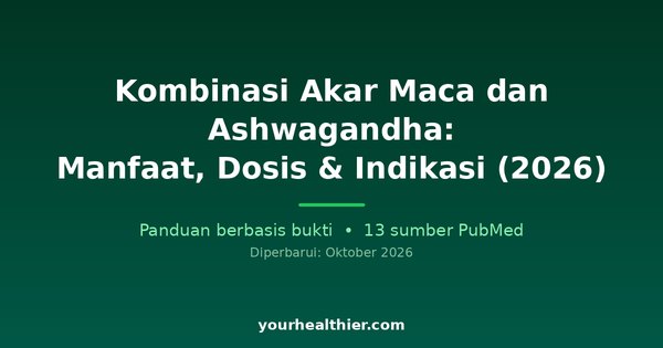 Kombinasi Akar Maca dan Ashwagandha: Manfaat, Dosis & Indikasi (2026)