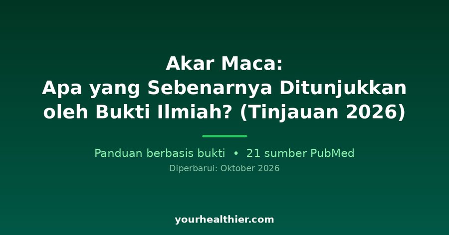 Akar Maca: Apa yang Sebenarnya Ditunjukkan oleh Bukti Ilmiah? (Tinjauan 2026)