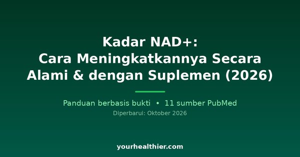 Kadar NAD+: Cara Meningkatkannya Secara Alami & dengan Suplemen (2026)