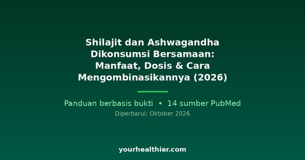 Shilajit dan Ashwagandha Dikonsumsi Bersamaan: Manfaat, Dosis & Cara Mengombinasikannya (2026)