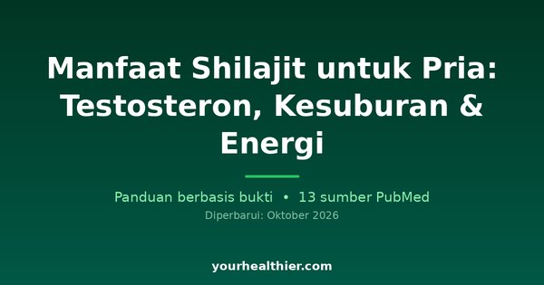 Manfaat Shilajit untuk Pria: Testosteron, Kesuburan & Energi