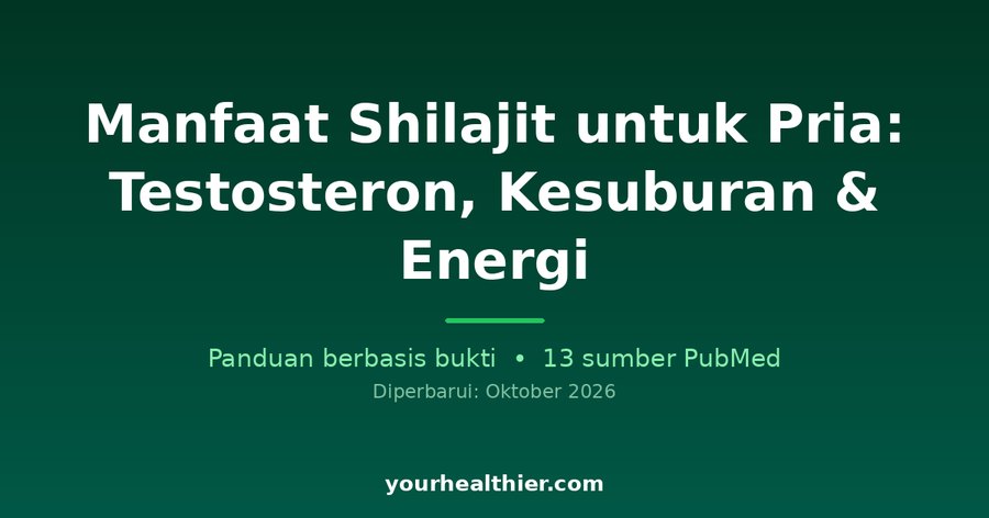 Manfaat Shilajit untuk Pria: Testosteron, Kesuburan & Energi