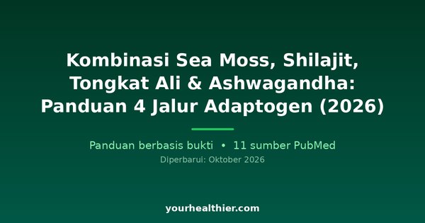 Kombinasi Sea Moss, Shilajit, Tongkat Ali & Ashwagandha: Panduan 4 Jalur Adaptogen (2026)