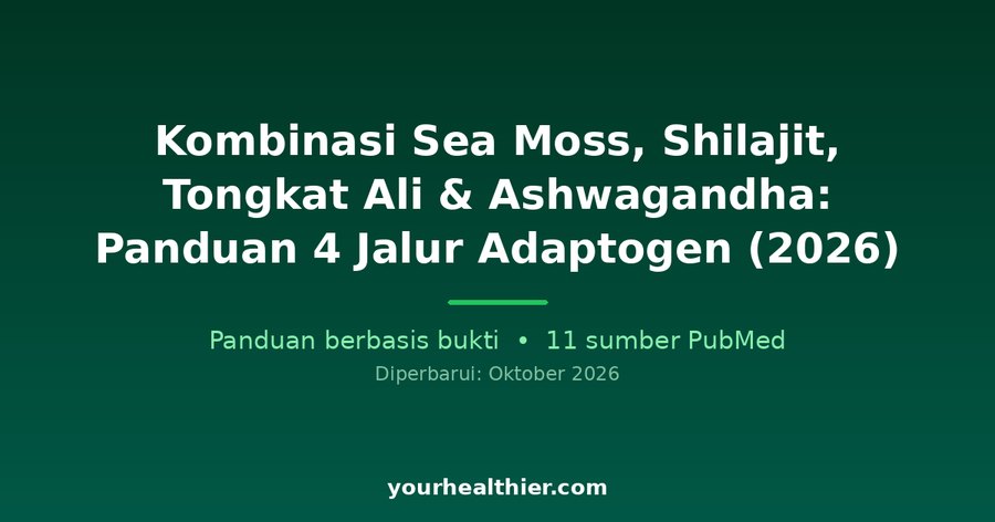 Kombinasi Sea Moss, Shilajit, Tongkat Ali & Ashwagandha: Panduan 4 Jalur Adaptogen (2026)