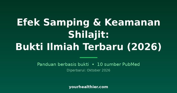 Efek Samping & Keamanan Shilajit: Bukti Ilmiah Terbaru (2026)