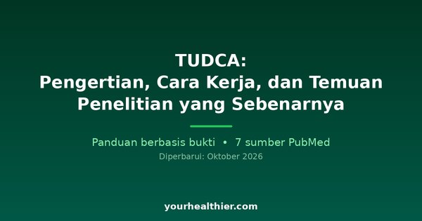 TUDCA: Pengertian, Cara Kerja, dan Temuan Penelitian yang Sebenarnya