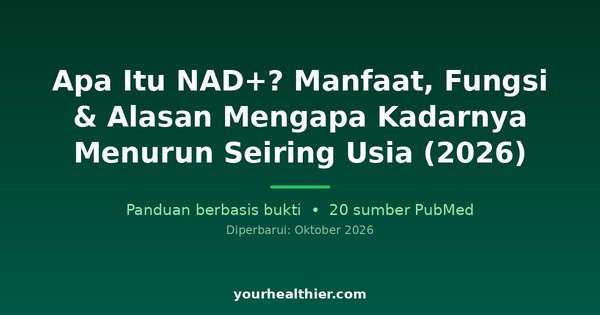 Apa Itu NAD+? Manfaat, Fungsi & Alasan Mengapa Kadarnya Menurun Seiring Usia (2026)